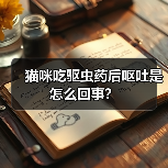 猫咪吃驱虫药后呕吐是怎么回事？（图2）