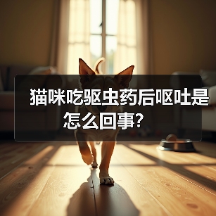 猫咪吃驱虫药后呕吐是怎么回事？（图3）