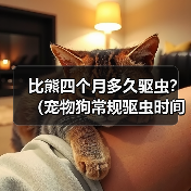 比熊四个月多久驱虫？（宠物狗常规驱虫时间及注意事项）（图3）