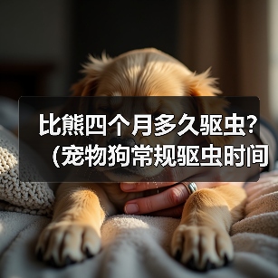 比熊四个月多久驱虫？（宠物狗常规驱虫时间及注意事项）（图2）