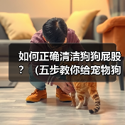 如何正确清洁狗狗屁股？（五步教你给宠物狗清洁屁股）（图3）