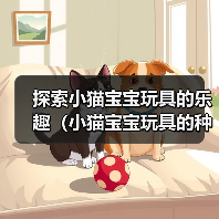 探索小猫宝宝玩具的乐趣（小猫宝宝玩具的种类及其益处）（图4）