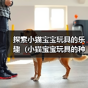 探索小猫宝宝玩具的乐趣（小猫宝宝玩具的种类及其益处）（图2）