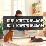 探索小猫宝宝玩具的乐趣（小猫宝宝玩具的种类及其益处）