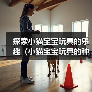 探索小猫宝宝玩具的乐趣（小猫宝宝玩具的种类及其益处）（图3）