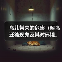 鸟儿带来的危害（候鸟迁徙现象及其对环境、农作物和人类健康的潜在影响）（图1）