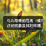 鸟儿带来的危害（候鸟迁徙现象及其对环境、农作物和人类健康的潜在影响）（图3）