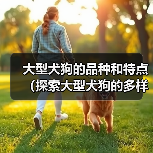 大型犬狗的品种和特点（探索大型犬狗的多样性和魅力）（图4）