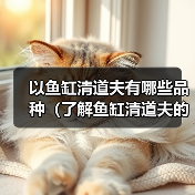 以鱼缸清道夫有哪些品种（了解鱼缸清道夫的不同品种及其特点）（图1）
