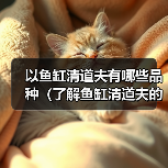 以鱼缸清道夫有哪些品种（了解鱼缸清道夫的不同品种及其特点）（图2）