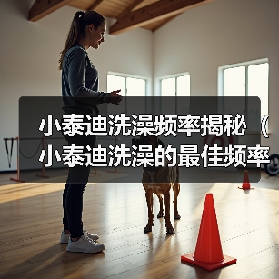 小泰迪洗澡频率揭秘（小泰迪洗澡的最佳频率及注意事项）（图2）