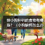 给小狗补钙的食物有哪些？（小狗缺钙怎么办？15种补钙食物让它快乐成长！）（图3）