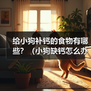 给小狗补钙的食物有哪些？（小狗缺钙怎么办？15种补钙食物让它快乐成长！）（图1）