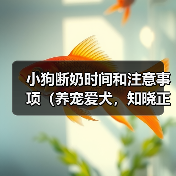 小狗断奶时间和注意事项（养宠爱犬，知晓正确的小狗断奶时间和方法）（图2）