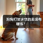 狗狗打架求饶的表现有哪些？（图2）
