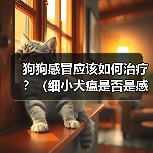 狗狗感冒应该如何治疗？（细小犬瘟是否是感冒的症状？应该如何辨别？）（图4）