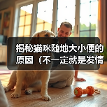 揭秘猫咪随地大小便的原因（不一定就是发情！探索猫咪随地大小便的真正原因）（图1）