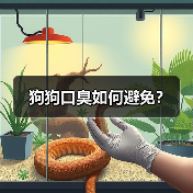 狗狗口臭如何避免？（图3）