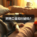 狗狗口臭如何避免？（图4）