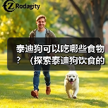 泰迪狗可以吃哪些食物？（探索泰迪狗饮食的世界，了解合适的食物和禁忌）（图1）