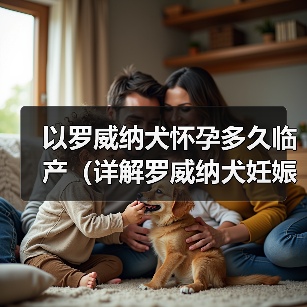 以罗威纳犬怀孕多久临产（详解罗威纳犬妊娠期及分娩过程，科学护理保障宝宝安全）（图4）