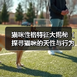 猫咪性格特征大揭秘（探寻猫咪的天性与行为习性，让你更了解你的小伙伴）（图4）