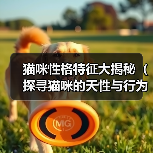 猫咪性格特征大揭秘（探寻猫咪的天性与行为习性，让你更了解你的小伙伴）（图2）