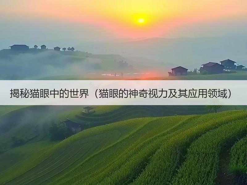 揭秘猫眼中的世界（猫眼的神奇视力及其应用领域）