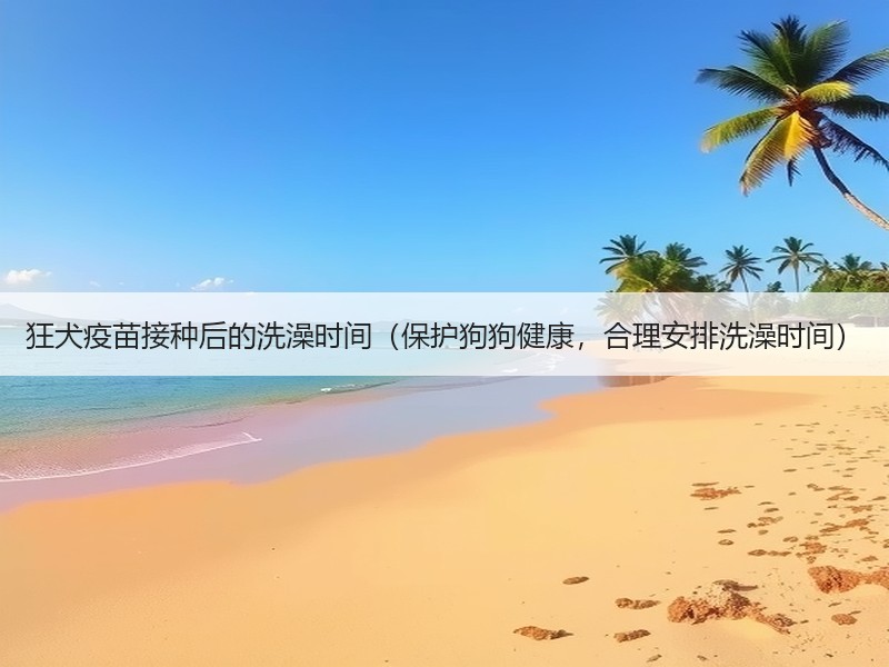 狂犬疫苗接种后的洗澡时间（保护狗狗健康，合理安排洗澡时间）