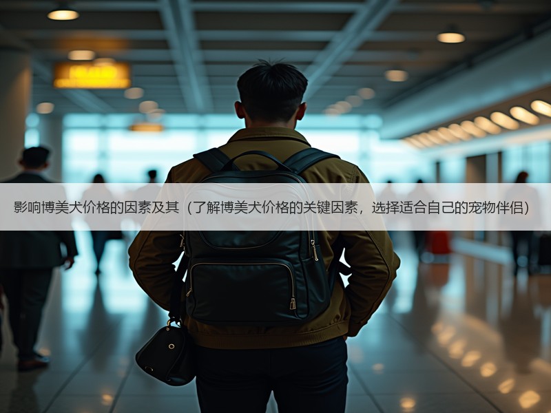 影响博美犬价格的因素及其（了解博美犬价格的关键因素，选择适合自己的宠物伴侣）