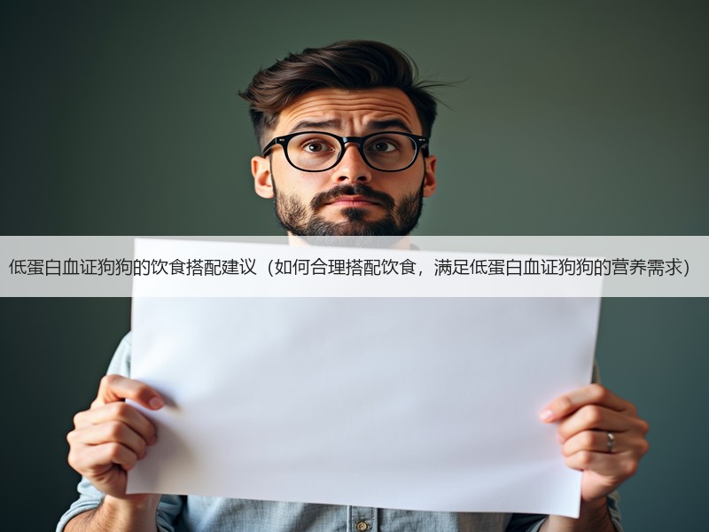 低蛋白血证狗狗的饮食搭配建议（如何合理搭配饮食，满足低蛋白血证狗狗的营养需求）