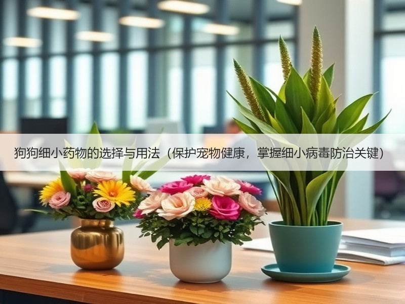 狗狗细小药物的选择与用法（保护宠物健康，掌握细小病毒防治关键）