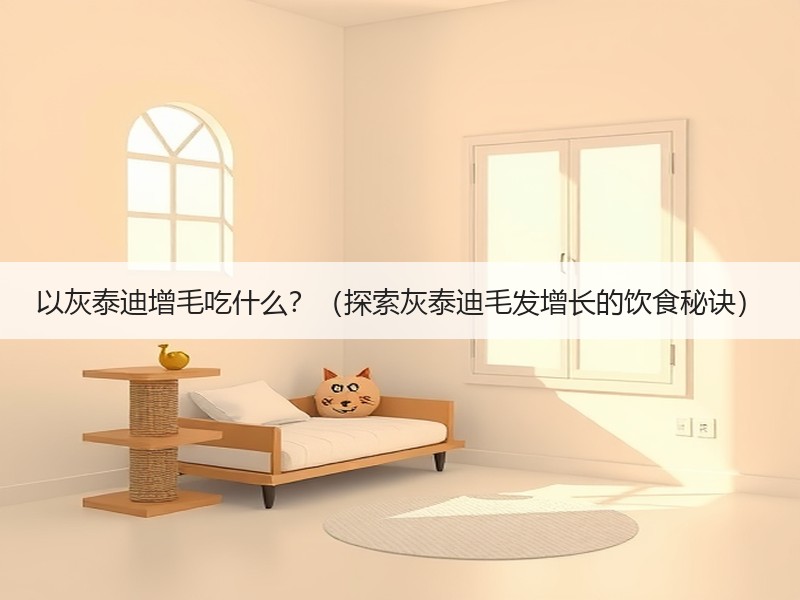 以灰泰迪增毛吃什么？（探索灰泰迪毛发增长的饮食秘诀）