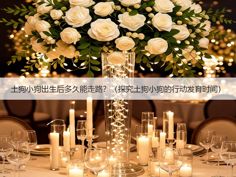 土狗小狗出生后多久能走路？（探究土狗小狗的行动发育时间）
