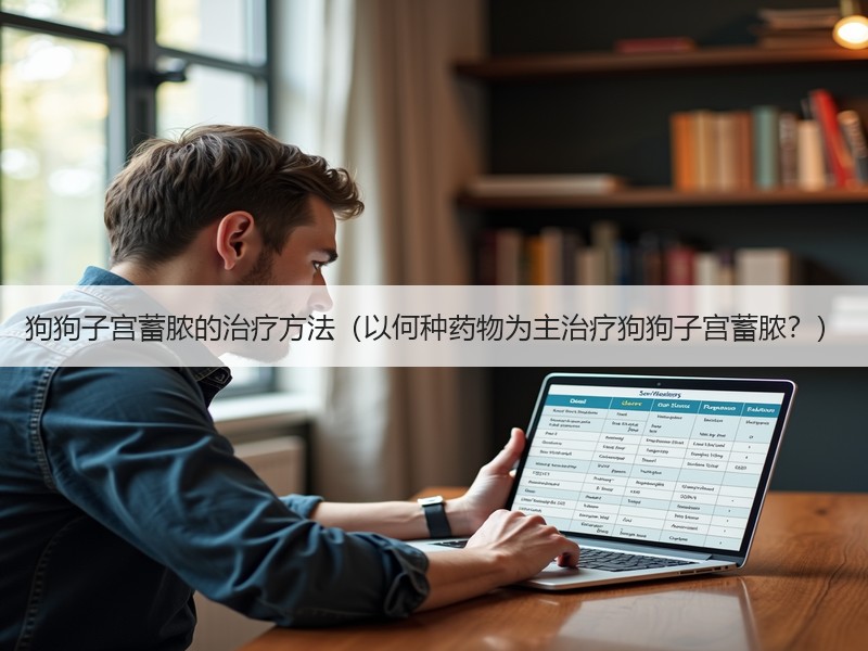 狗狗子宫蓄脓的治疗方法（以何种药物为主治疗狗狗子宫蓄脓？）