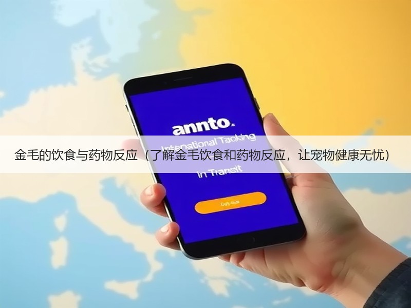 金毛的饮食与药物反应（了解金毛饮食和药物反应，让宠物健康无忧）