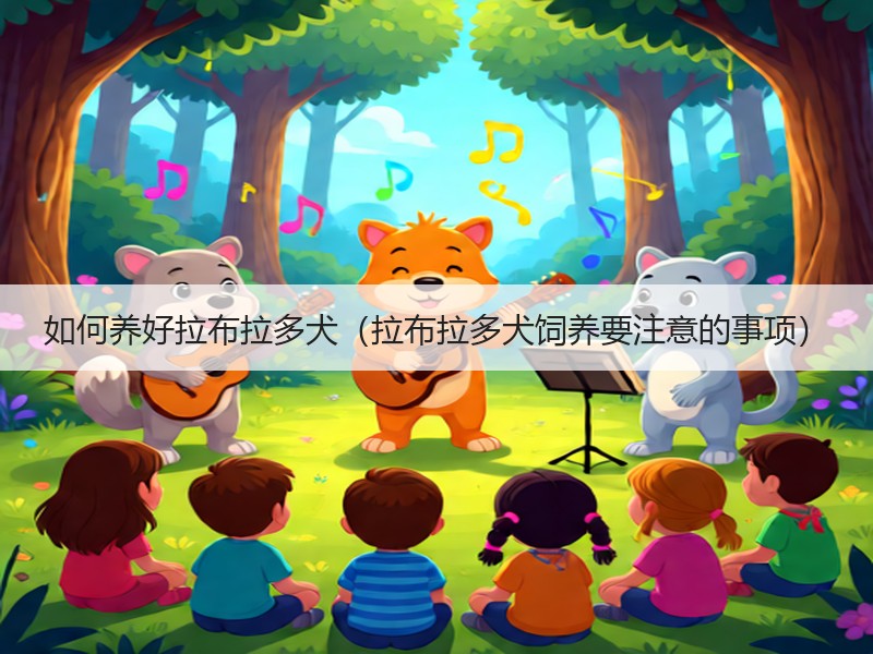 如何养好拉布拉多犬（拉布拉多犬饲养要注意的事项）