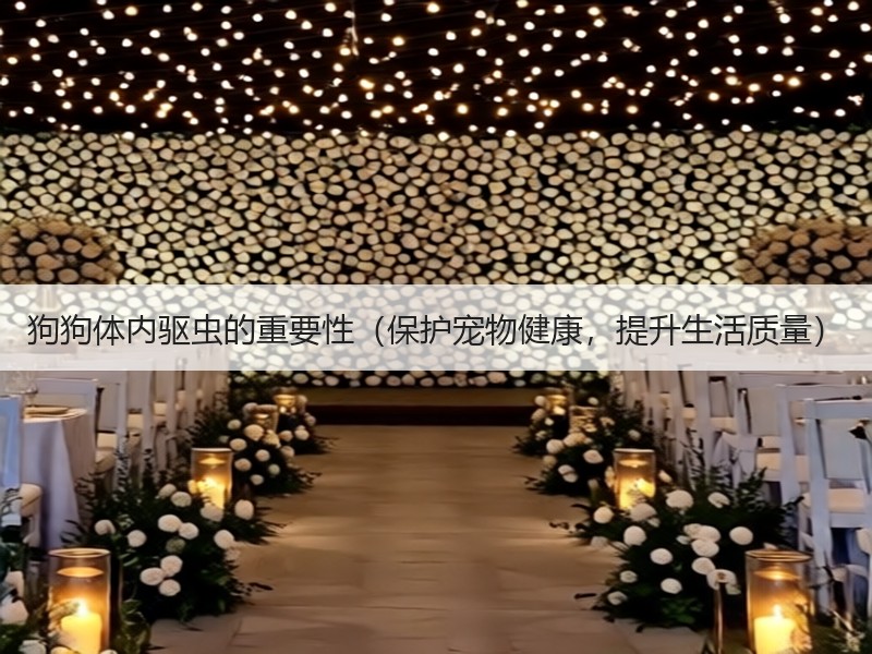 狗狗体内驱虫的重要性（保护宠物健康，提升生活质量）