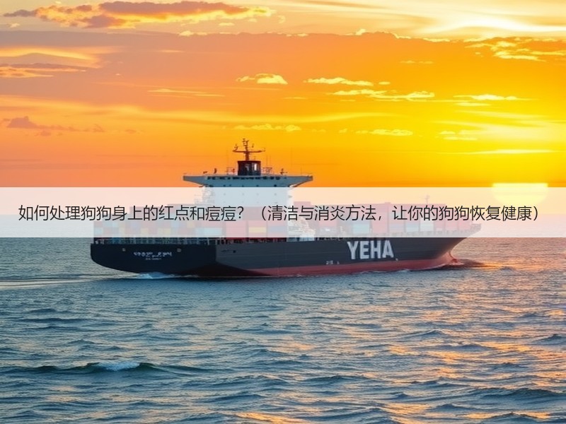 如何处理狗狗身上的红点和痘痘？（清洁与消炎方法，让你的狗狗恢复健康）