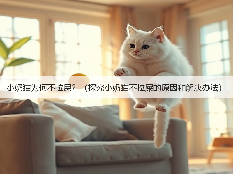 小奶猫为何不拉屎？（探究小奶猫不拉屎的原因和解决办法）