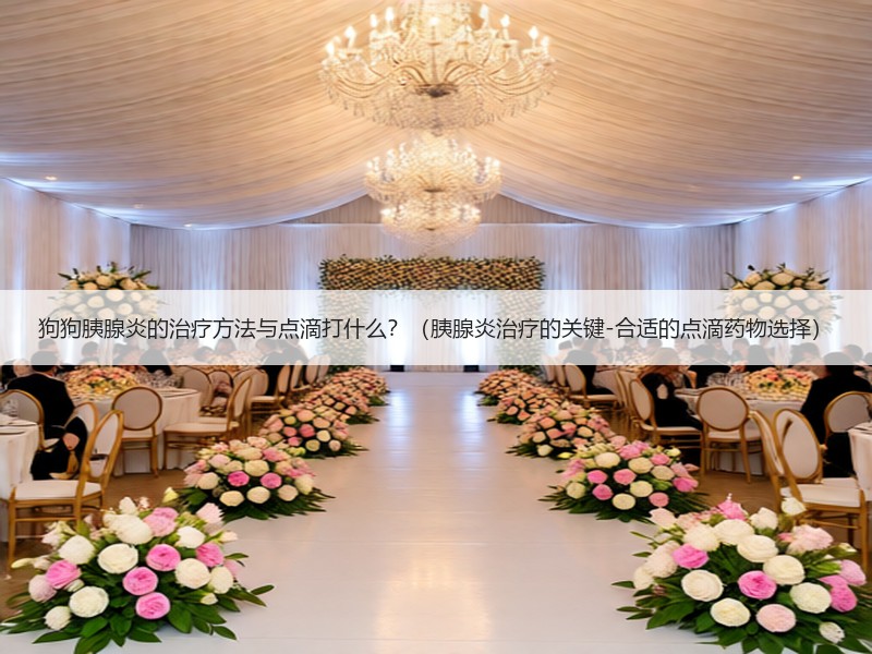 狗狗胰腺炎的治疗方法与点滴打什么？（胰腺炎治疗的关键-合适的点滴药物选择）
