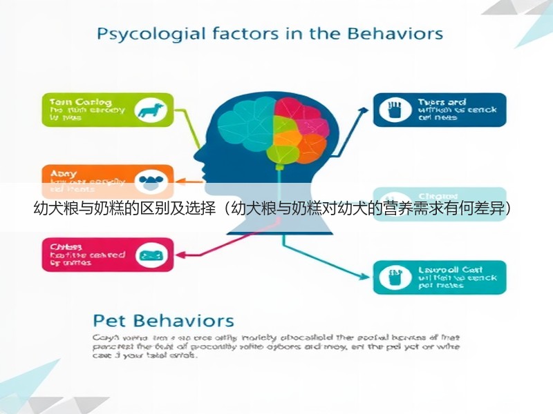 幼犬粮与奶糕的区别及选择（幼犬粮与奶糕对幼犬的营养需求有何差异）