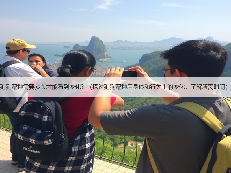 狗狗配种需要多久才能看到变化？（探讨狗狗配种后身体和行为上的变化，了解所需时间）
