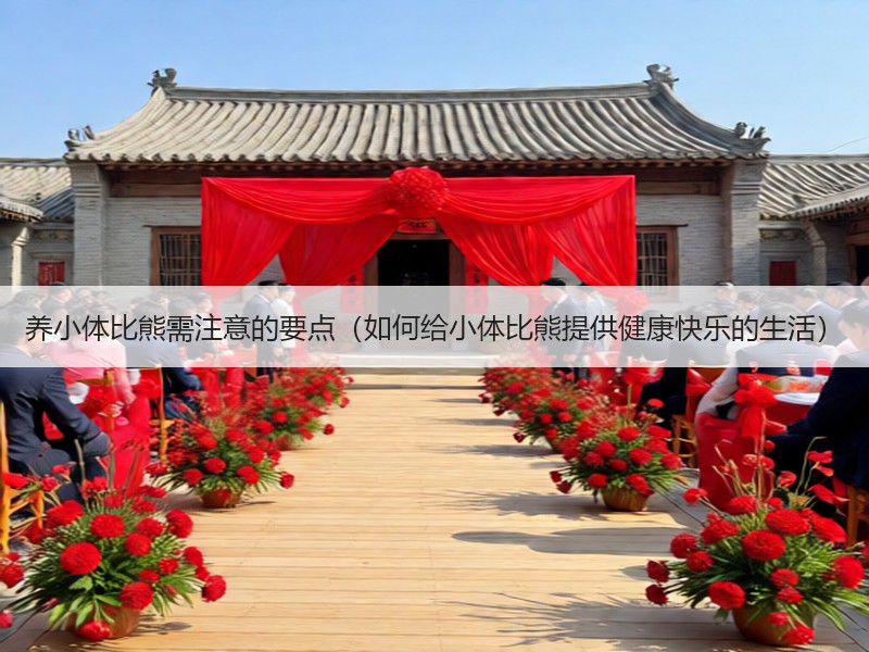 养小体比熊需注意的要点（如何给小体比熊提供健康快乐的生活）