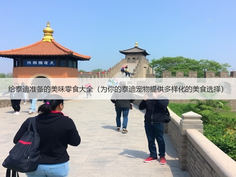 给泰迪准备的美味零食大全（为你的泰迪宠物提供多样化的美食选择）