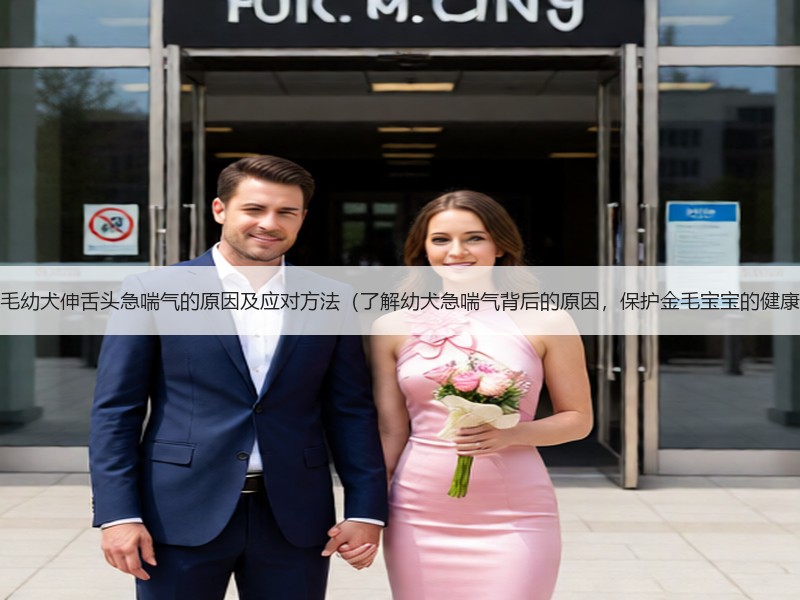 金毛幼犬伸舌头急喘气的原因及应对方法（了解幼犬急喘气背后的原因，保护金毛宝宝的健康）