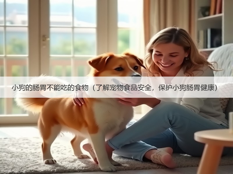 小狗的肠胃不能吃的食物（了解宠物食品安全，保护小狗肠胃健康）