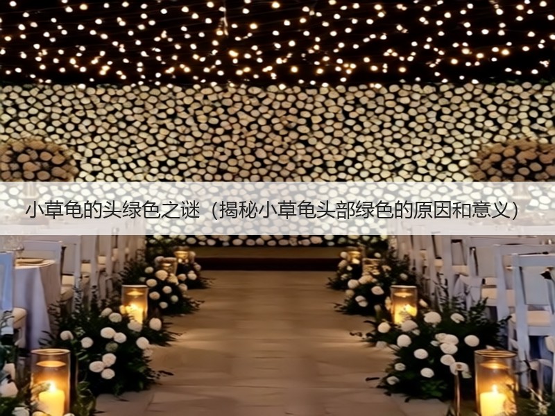 小草龟的头绿色之谜（揭秘小草龟头部绿色的原因和意义）
