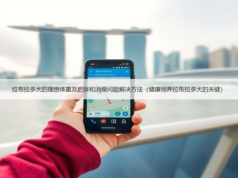 拉布拉多犬的理想体重及肥胖和消瘦问题解决方法（健康饲养拉布拉多犬的关键）