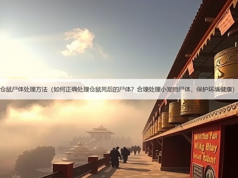 仓鼠尸体处理方法（如何正确处理仓鼠死后的尸体？合理处理小宠物尸体，保护环境健康）